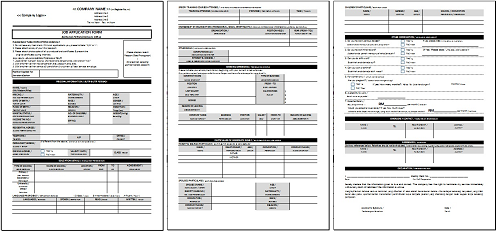 Job Application Form Image
